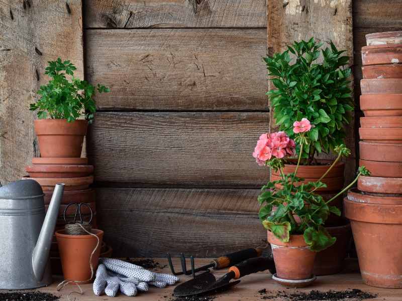 Tanalised Scaffold Boards