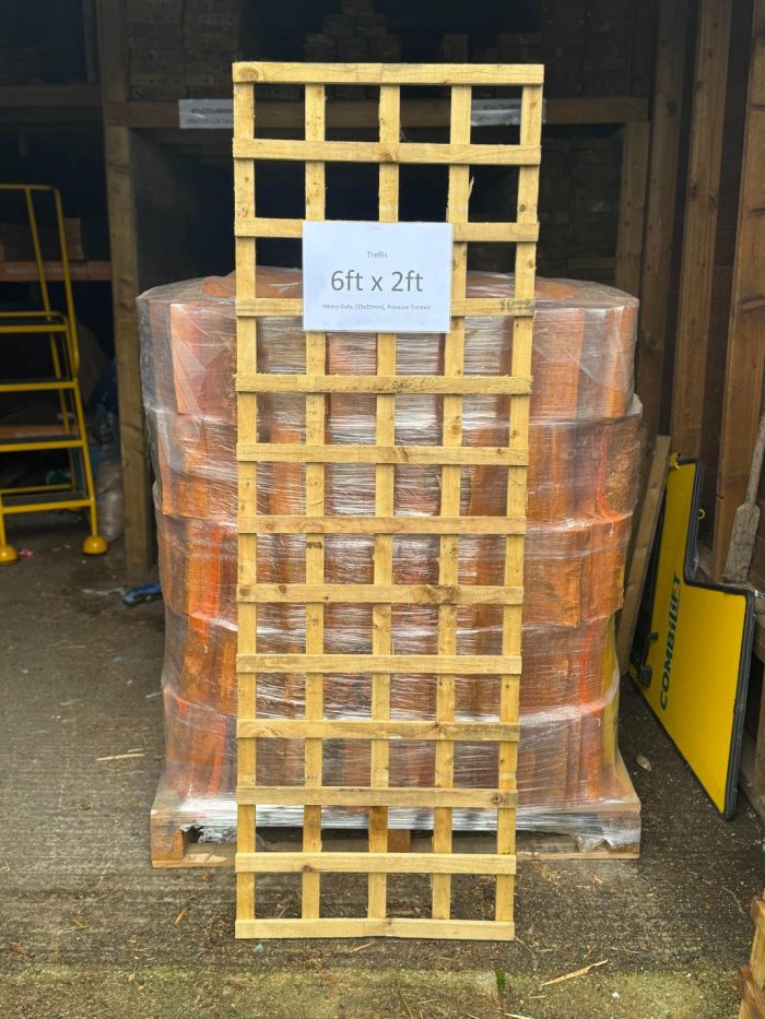 Trellis_6x2ft